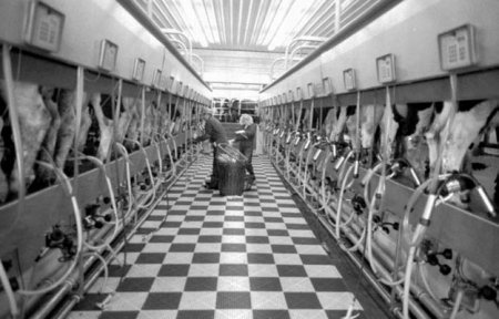 Dairy industry