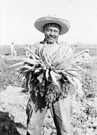 Farm labor