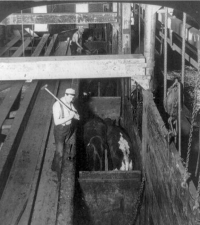 Meatpacking industry