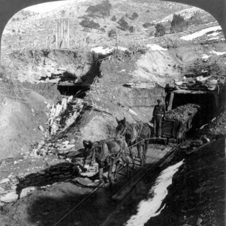 Mineral resources