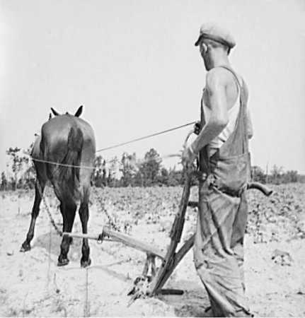 Sharecropping